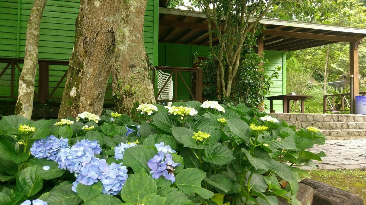 Hemerocallis Country House Нанджуан Екстериор снимка